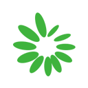 人妻中文字幕乱人伦在线